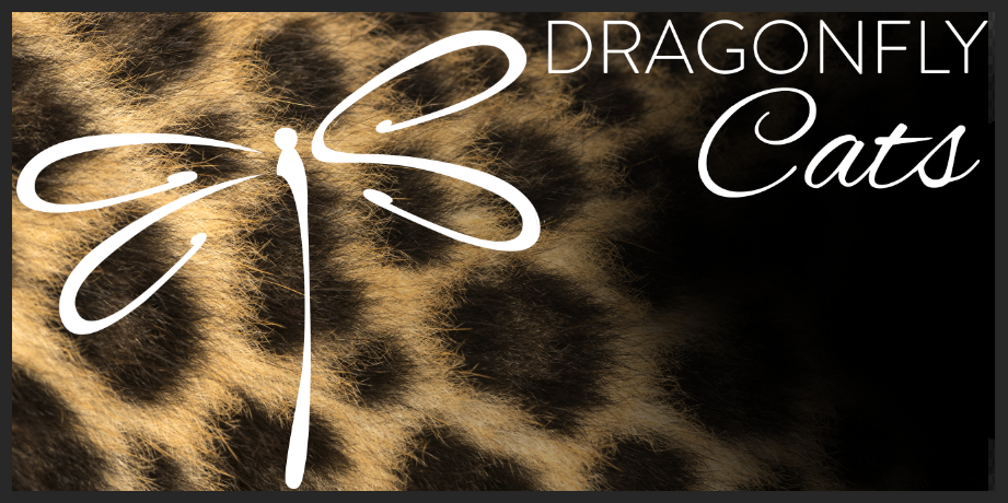dragonflycatsthin